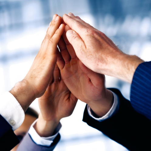 Management Team